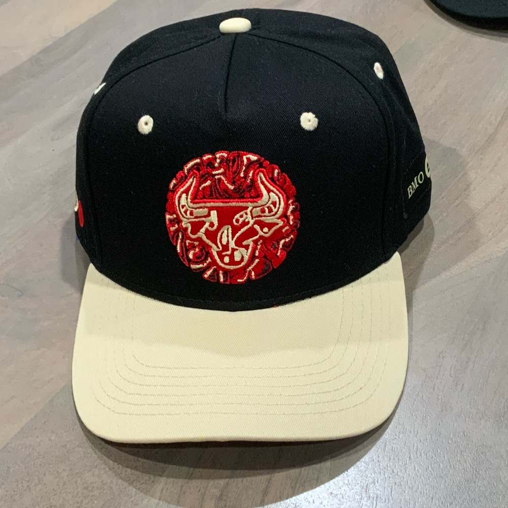 Chicago Bulls “Walker TKL Hat” Limited Artist Hat Series NEW
